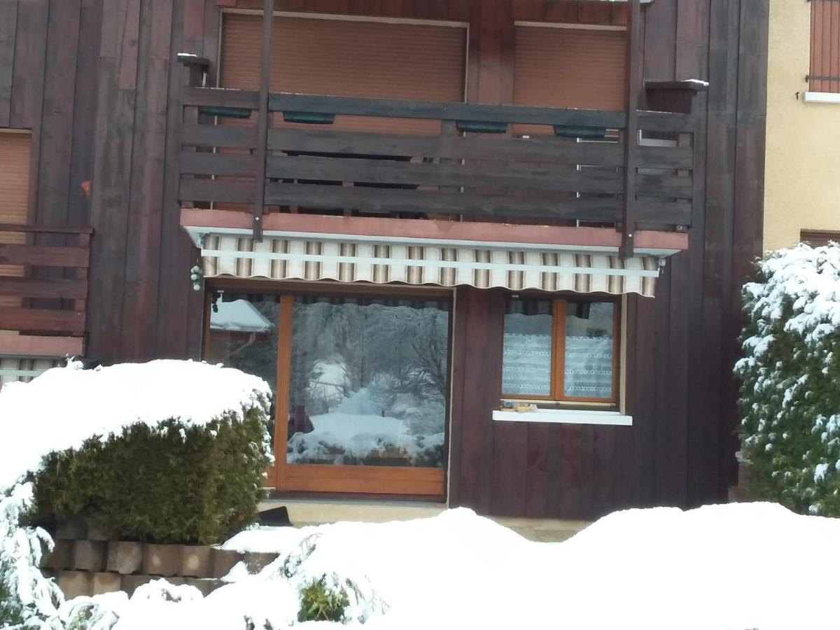 Charmant Duplex De 45M², 2 Chambres, Jardin, Garage, Villard-De-Lans - Fr-1-515-51 Dış mekan fotoğraf